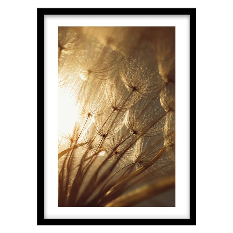 قاب دکوراتیو